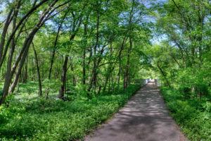 cedar valley trail